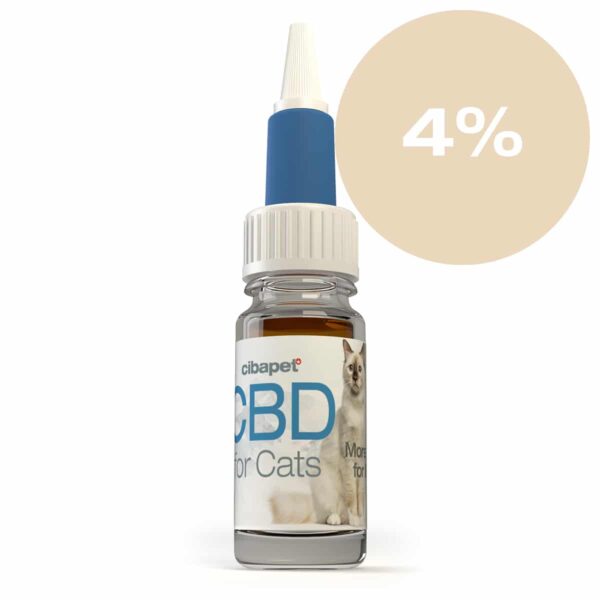 A bottle of Cibapet CBD oil 4% for cats (10ml).