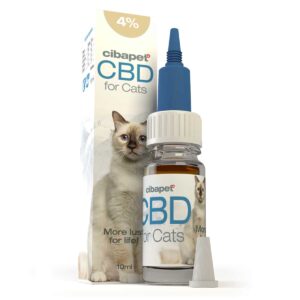 Een flesje Cibapet CBD olie 4% voor katten (10ml) naast een doosje.