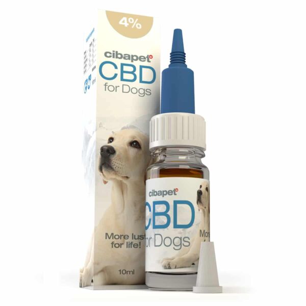 A bottle of Cibapet CBD oil 4% for dogs (10ml) next to a box.